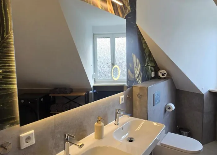 Luxus Himmel Und Mit Privater Sauna Und Wellnessdusche Inkl Wifi Und Parkplatz Fuer 4personen * Muhr am See